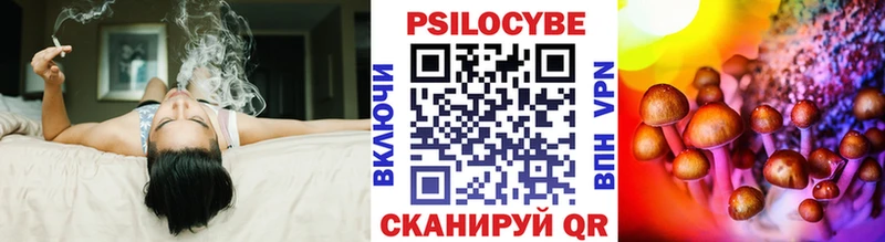 Галлюциногенные грибы Psilocybe  Свободный 